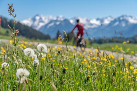 Dealing with spring allergies during outdoor activities
