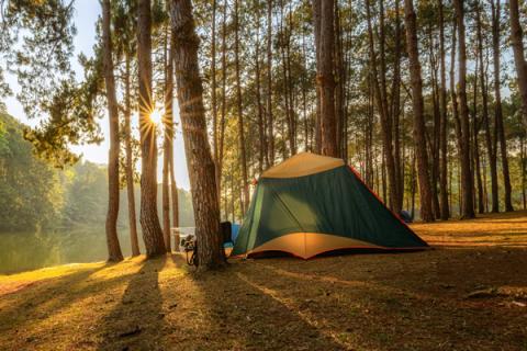 First aid kit that you should keep in your car during summer to prepare for camping, hiking, and more